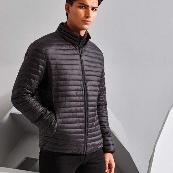 MENS TRIBVEFINELINE PADDED Miniaturansicht