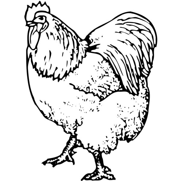 CHICK003 Miniaturansicht