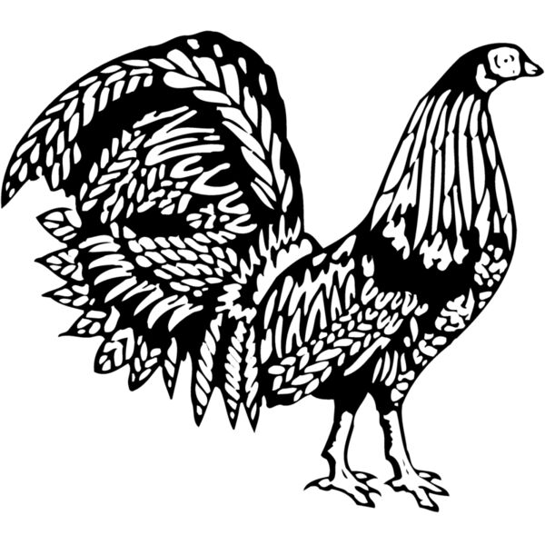 CHICK013 Miniaturansicht