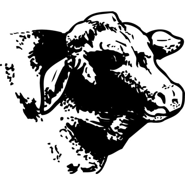 COW004 Miniaturansicht