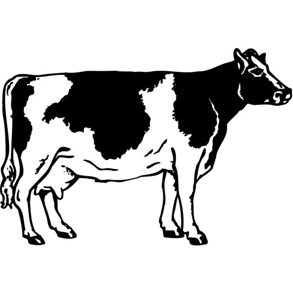 COW024 Miniaturansicht