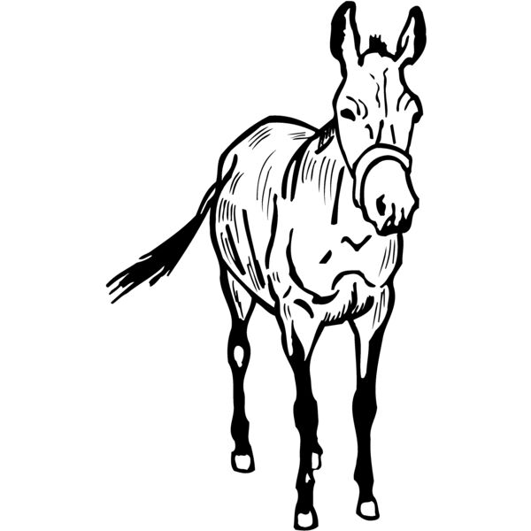 BURRO010 Miniaturansicht