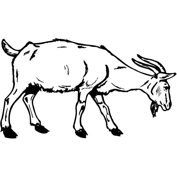 GOAT002 Miniaturansicht