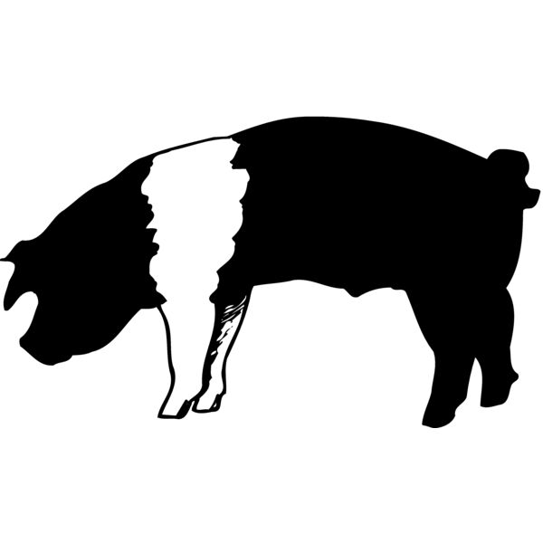 HOG0007 Miniaturansicht