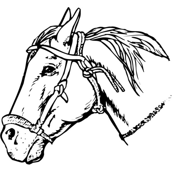 HORSE007 Miniaturansicht