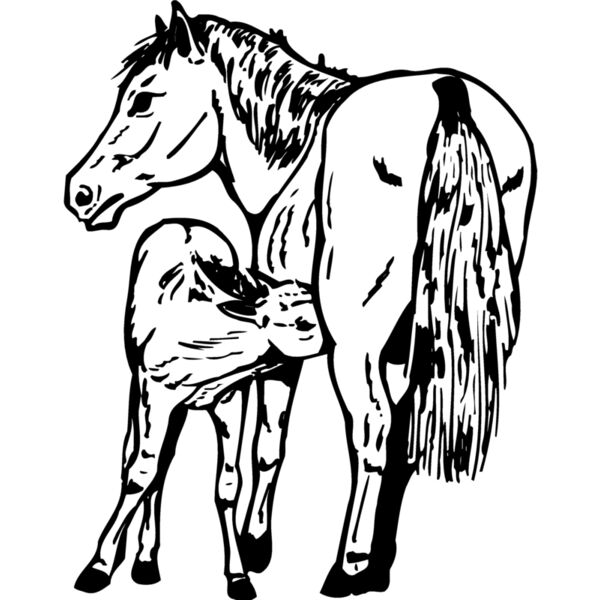 HORSE036 Miniaturansicht