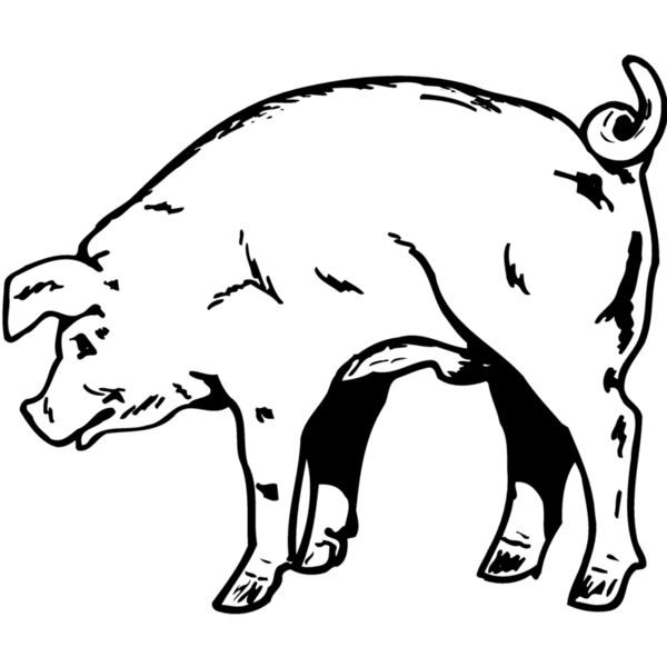 PIG0002 Miniaturansicht