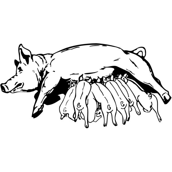 PIGLET01 Miniaturansicht