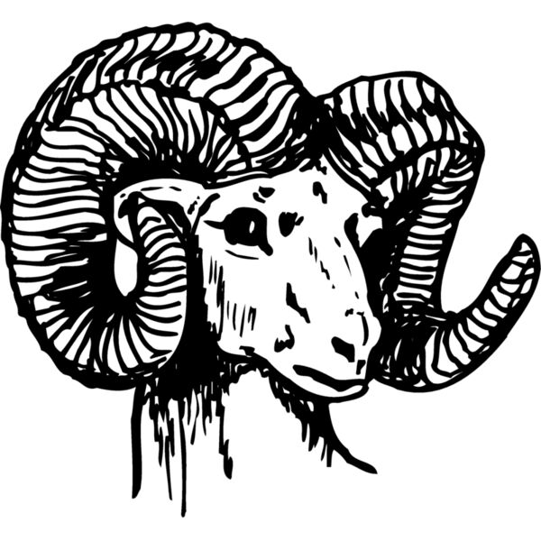 RAM003 Miniaturansicht