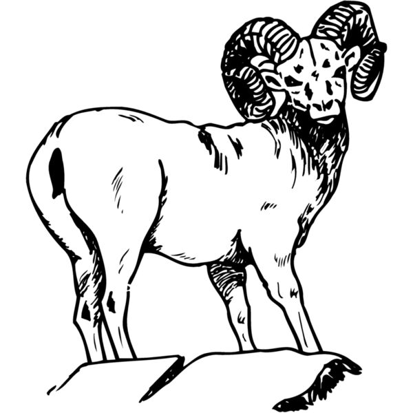 RAM007 Miniaturansicht