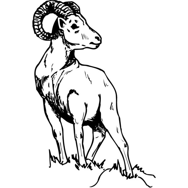 RAM008 Miniaturansicht