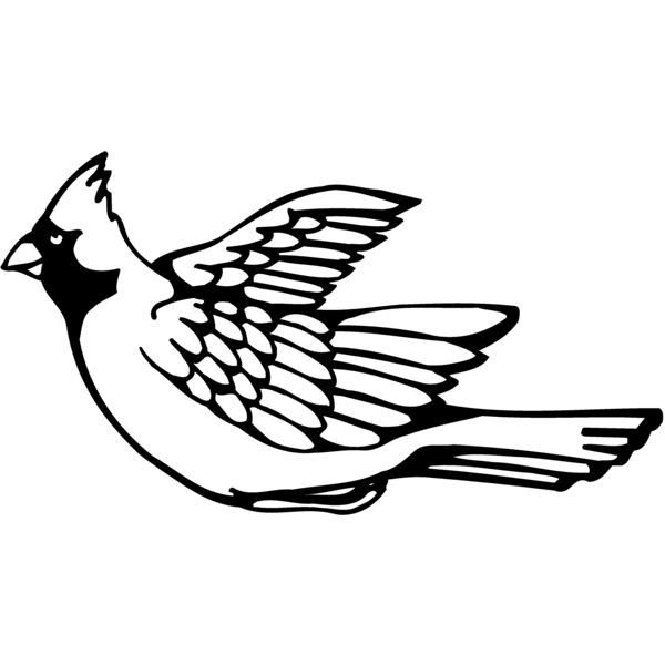 BIRD012 Miniaturansicht