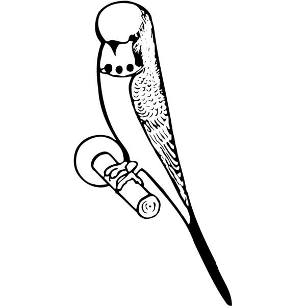 BIRD016 Miniaturansicht