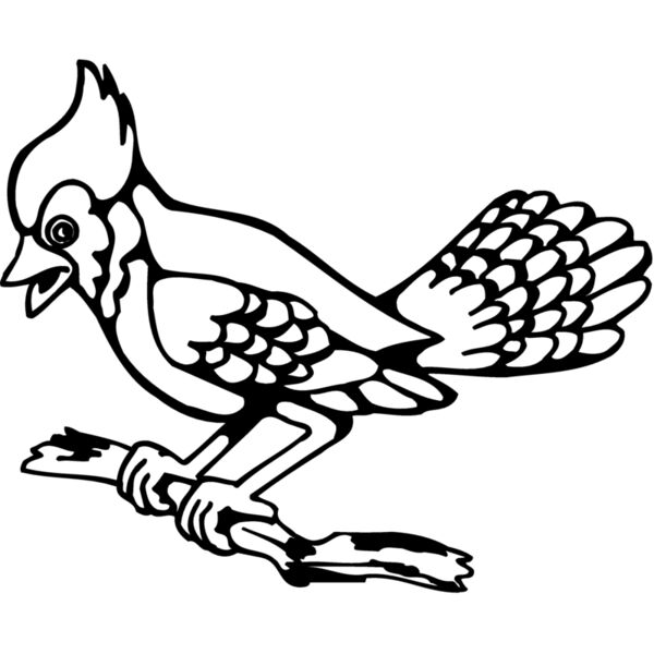 BIRD035 Miniaturansicht