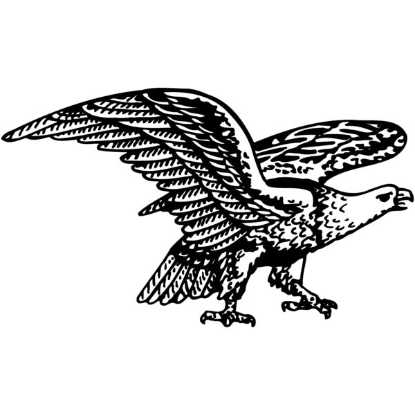 EAGLE028 Miniaturansicht