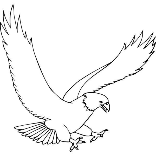 EAGLE43 Miniaturansicht