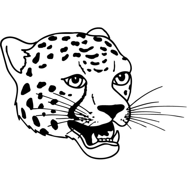 CAT14 Miniaturansicht