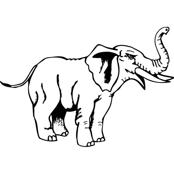 ELEPH007 Miniaturansicht