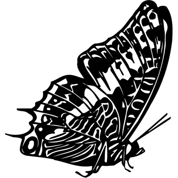 BTRFLY02 Miniaturansicht