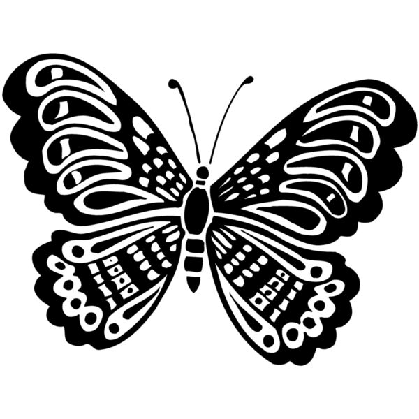 BTRFLY05 Miniaturansicht