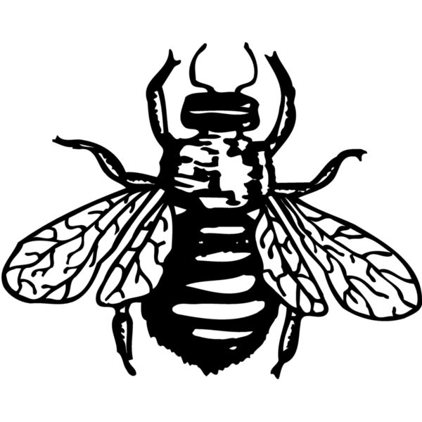 FLY01 Miniaturansicht