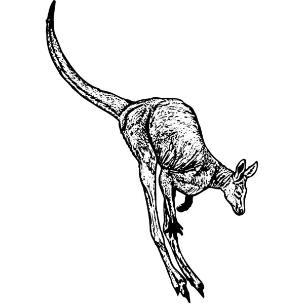 KANG002 Miniaturansicht