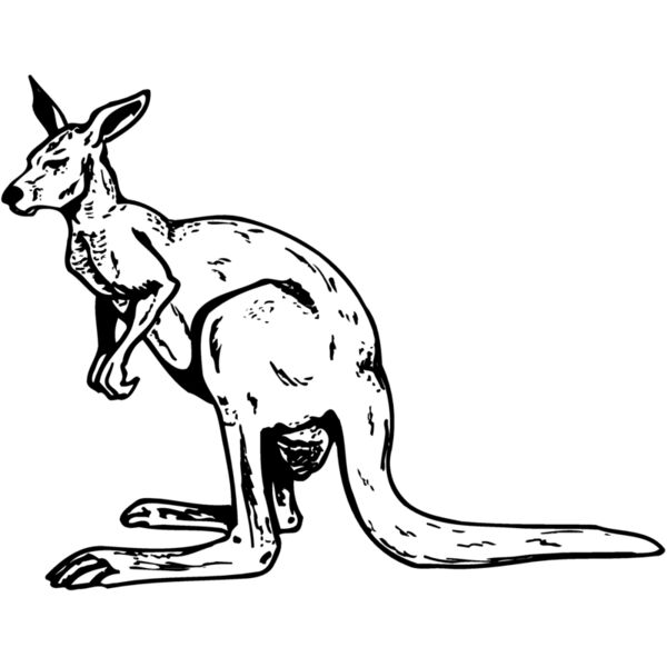 KANG005 Miniaturansicht