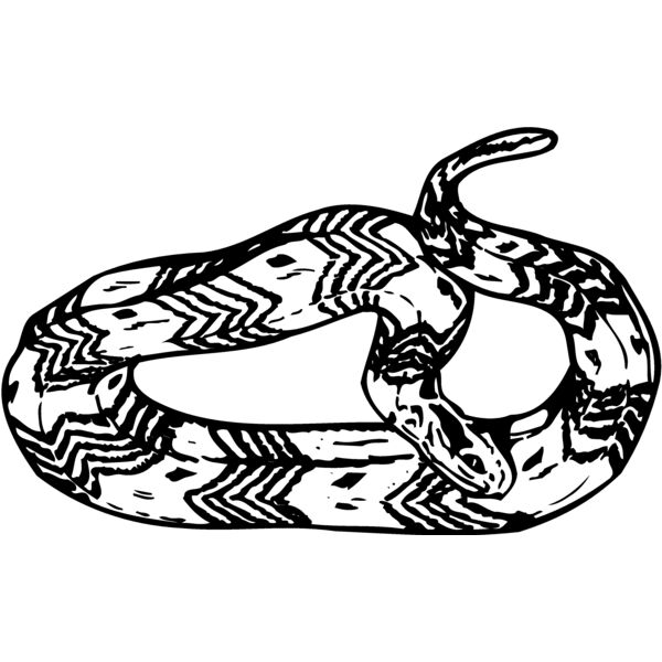 SNAKE002 Miniaturansicht