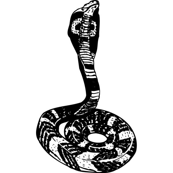 SNAKE006 Miniaturansicht