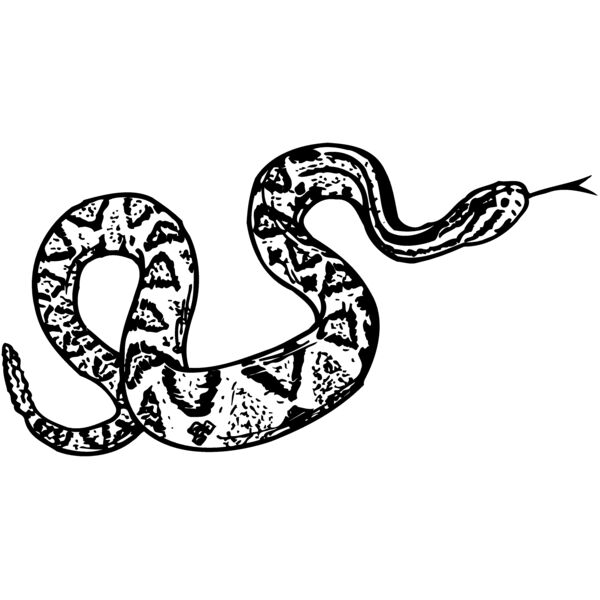 SNAKE011 Miniaturansicht