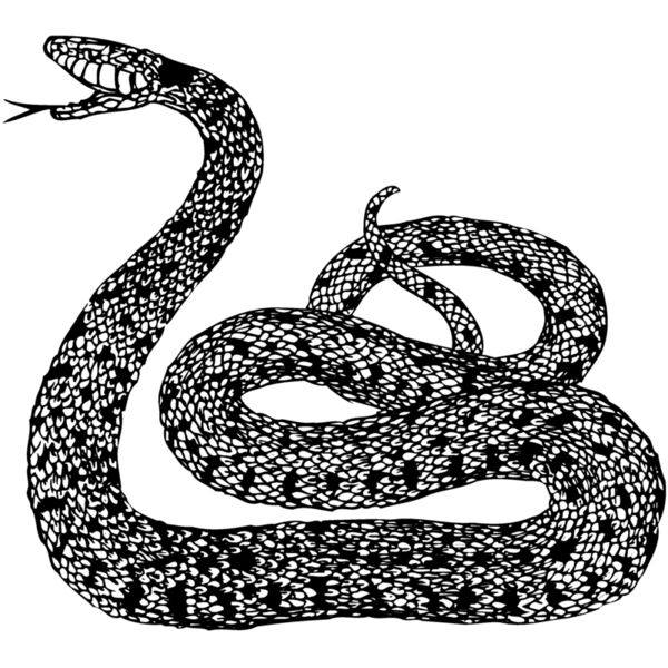 SNAKE015 Miniaturansicht