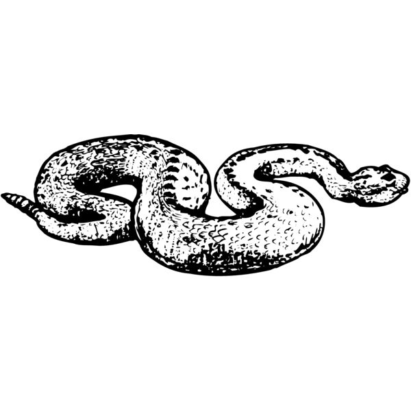 SNAKE018 Miniaturansicht