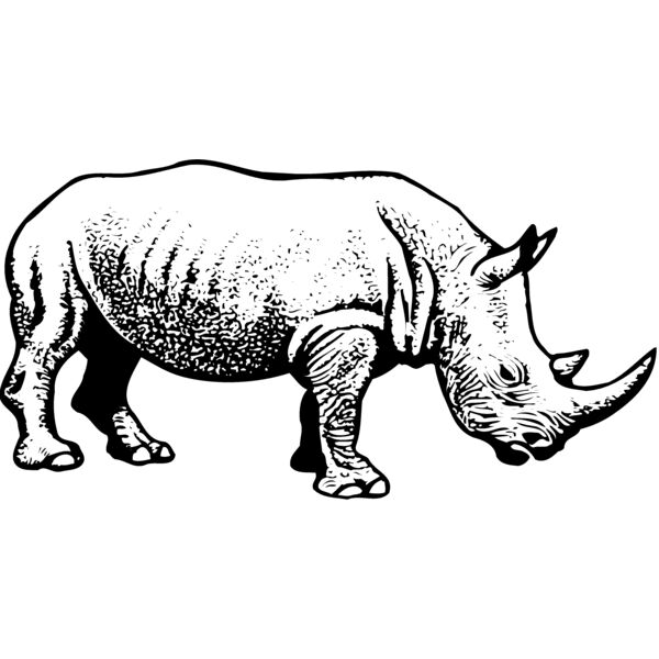 RHINO001 Miniaturansicht
