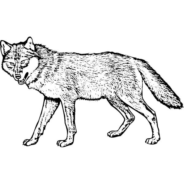 F_W002 Miniaturansicht