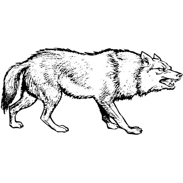 F_W009 Miniaturansicht