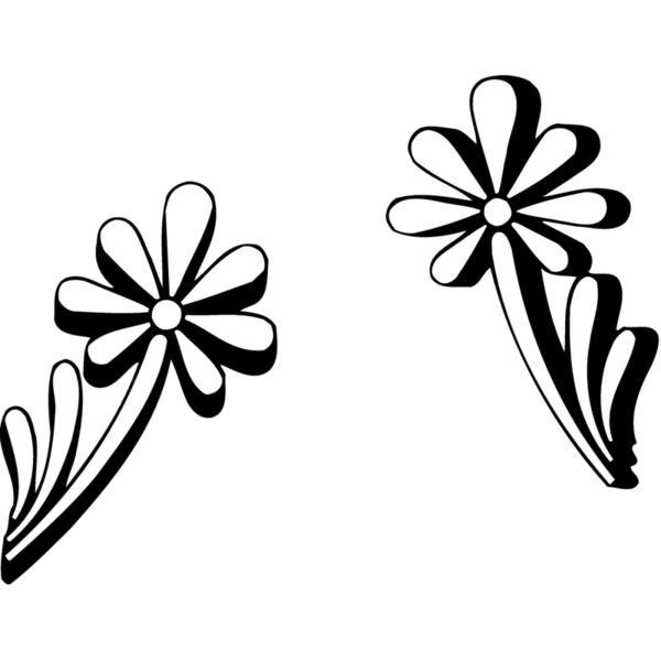 BRDR053 Miniaturansicht