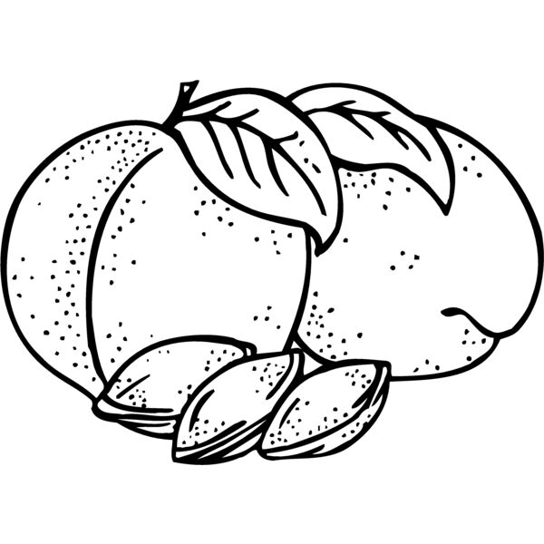 FRUIT025 Miniaturansicht