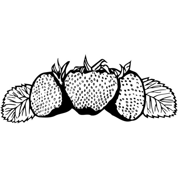 FRUIT034 Miniaturansicht