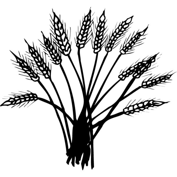 GRAIN015 Miniaturansicht