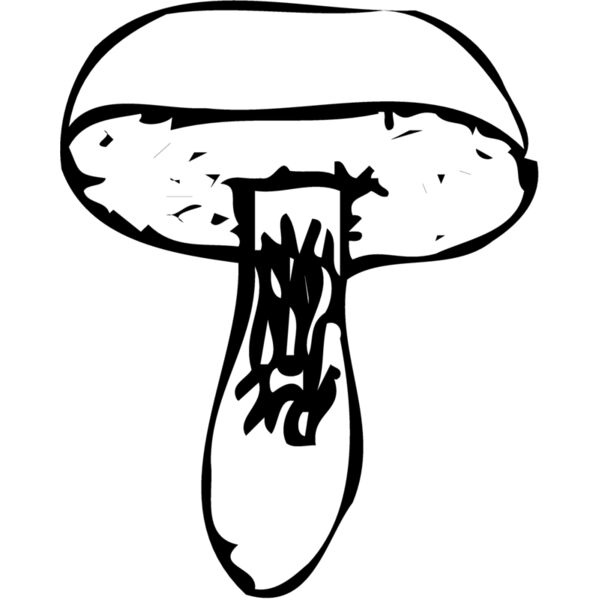 VEG028 Miniaturansicht