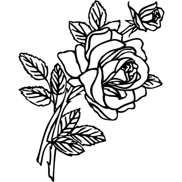 FLOWER27 Miniaturansicht