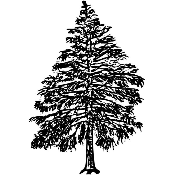 TREE0009 Miniaturansicht