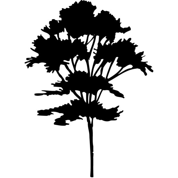 TREE0025 Miniaturansicht