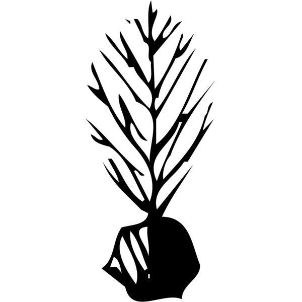 TREE0035 Miniaturansicht