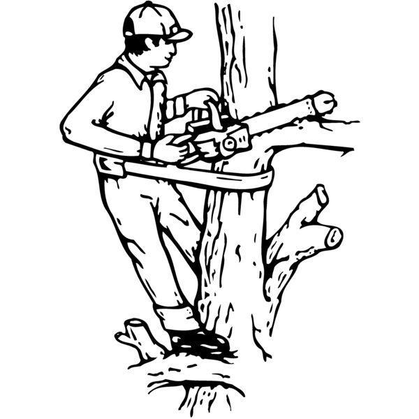 LANDSCP1 Miniaturansicht