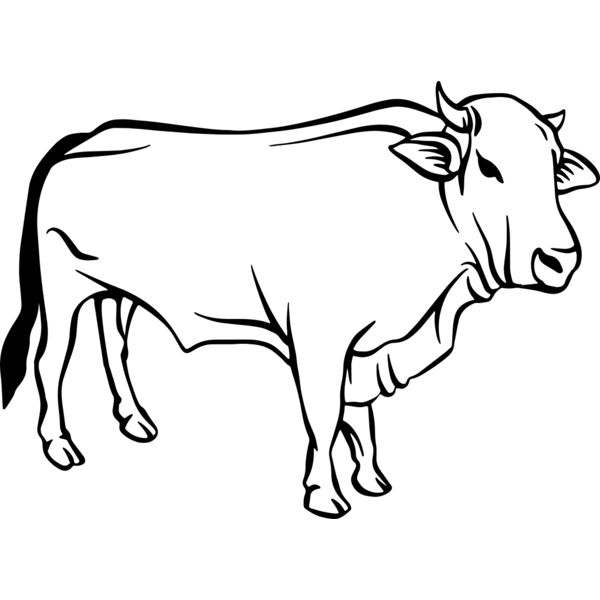 Cow   Clipart 2 Miniaturansicht