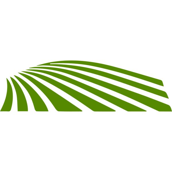 67 Rice Field Miniaturansicht