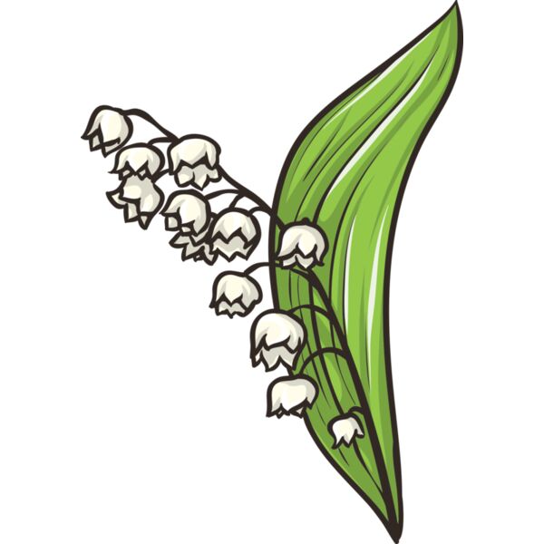 Blume Maiglöckchen Miniaturansicht