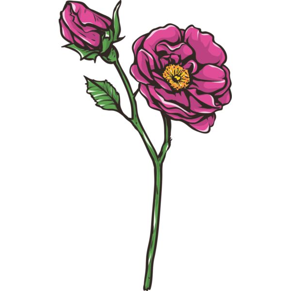 Blume Rose Miniaturansicht