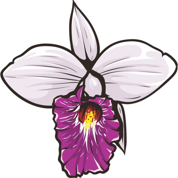 Blume Orchidee Miniaturansicht